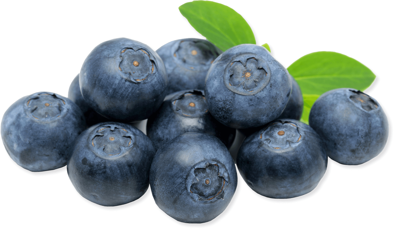 blueberries