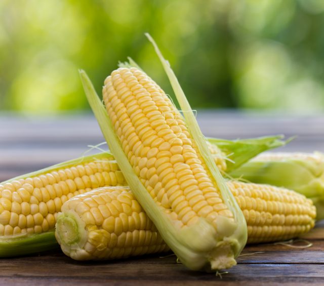 Sweet Corn Recipes