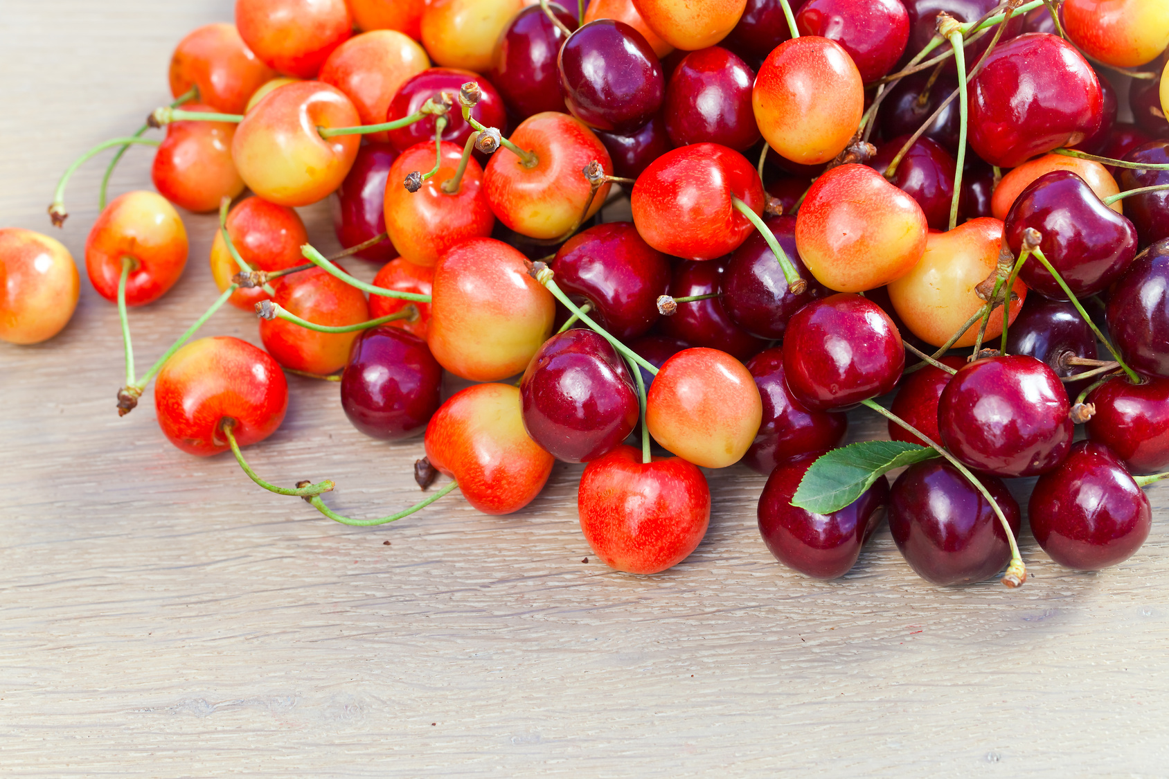 Sweet Cherries Brecknock Orchard LLC, Mohnton Lancaster County PA
