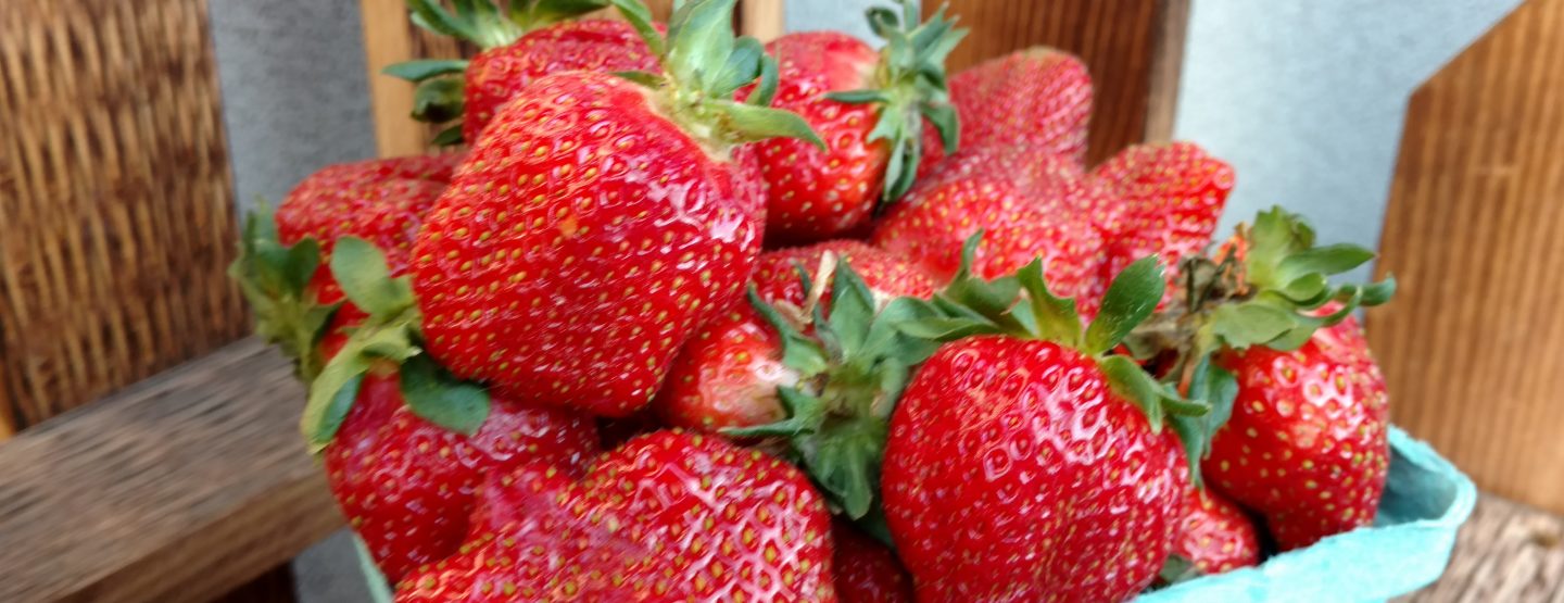 Farm Market Fresh Produce, Fruits, & Vegetables Lancaster PA