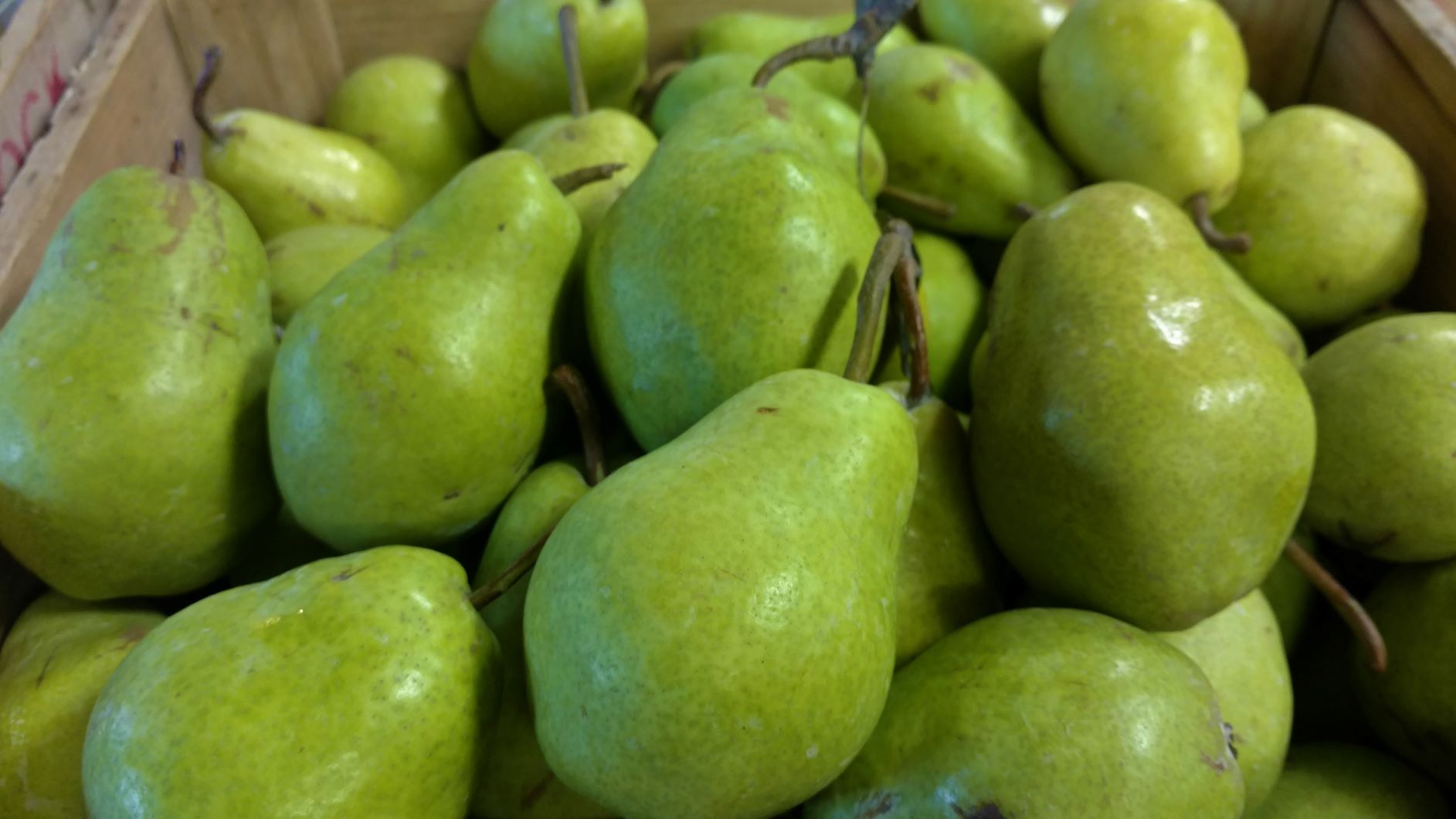 Pears Brecknock Orchard LLC, Mohnton Lancaster County PA
