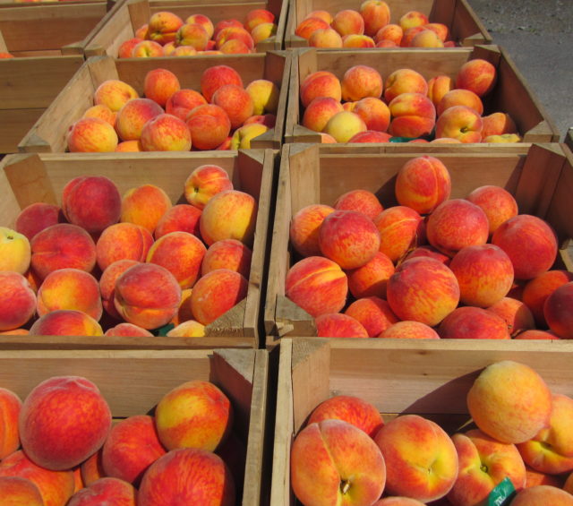 Three Ways to Freeze Peaches