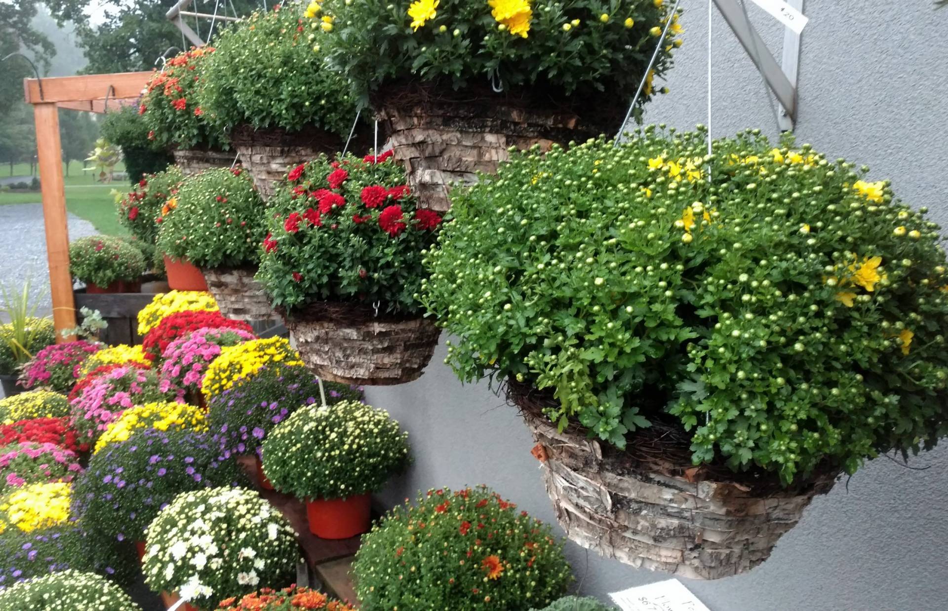 Fall Decorations Brecknock Orchard LLC, Mohnton Lancaster County PA