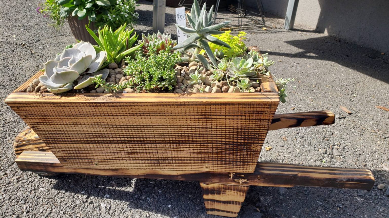 Outdoor Decorations Brecknock Orchard LLC, Mohnton Lancaster County PA