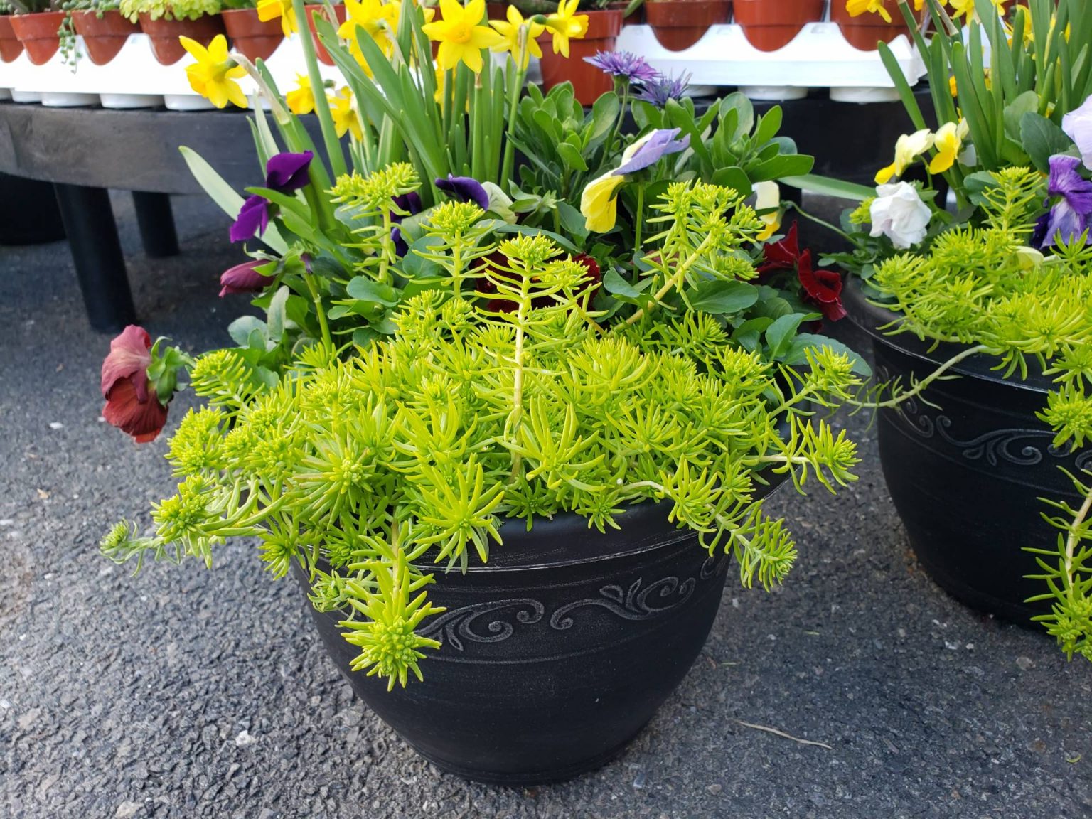 Outdoor Decorations Brecknock Orchard LLC, Mohnton Lancaster County PA