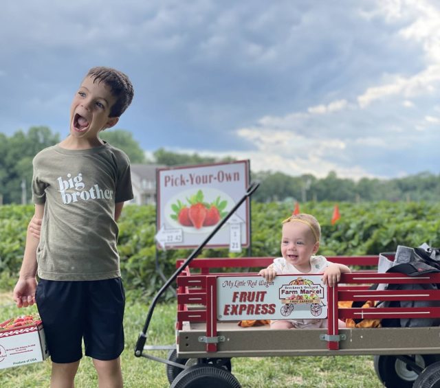 Pick Your Own