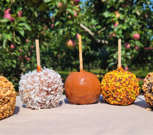 Caramel Apples