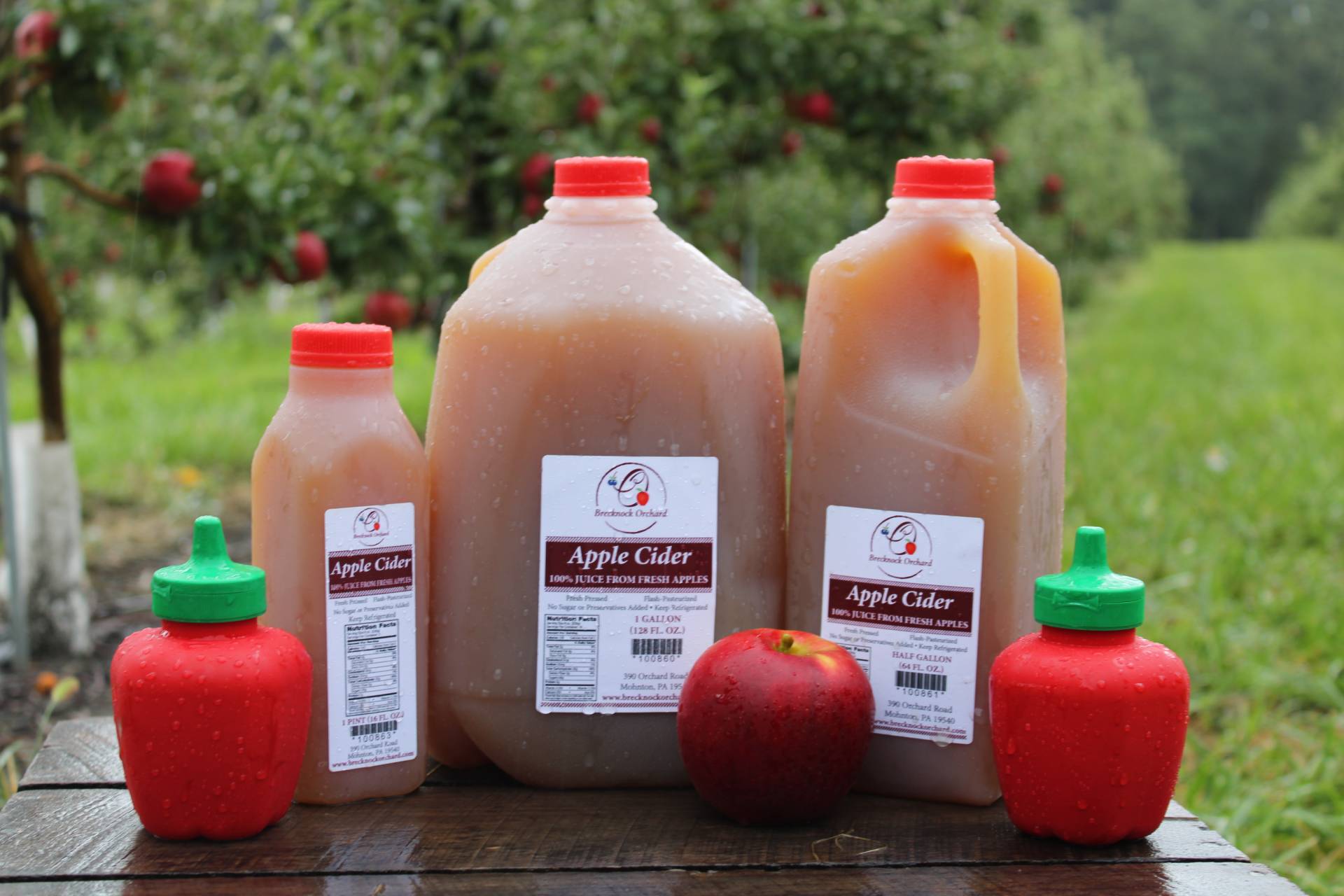 Apple Cider Brecknock Orchard LLC, Mohnton Lancaster County PA