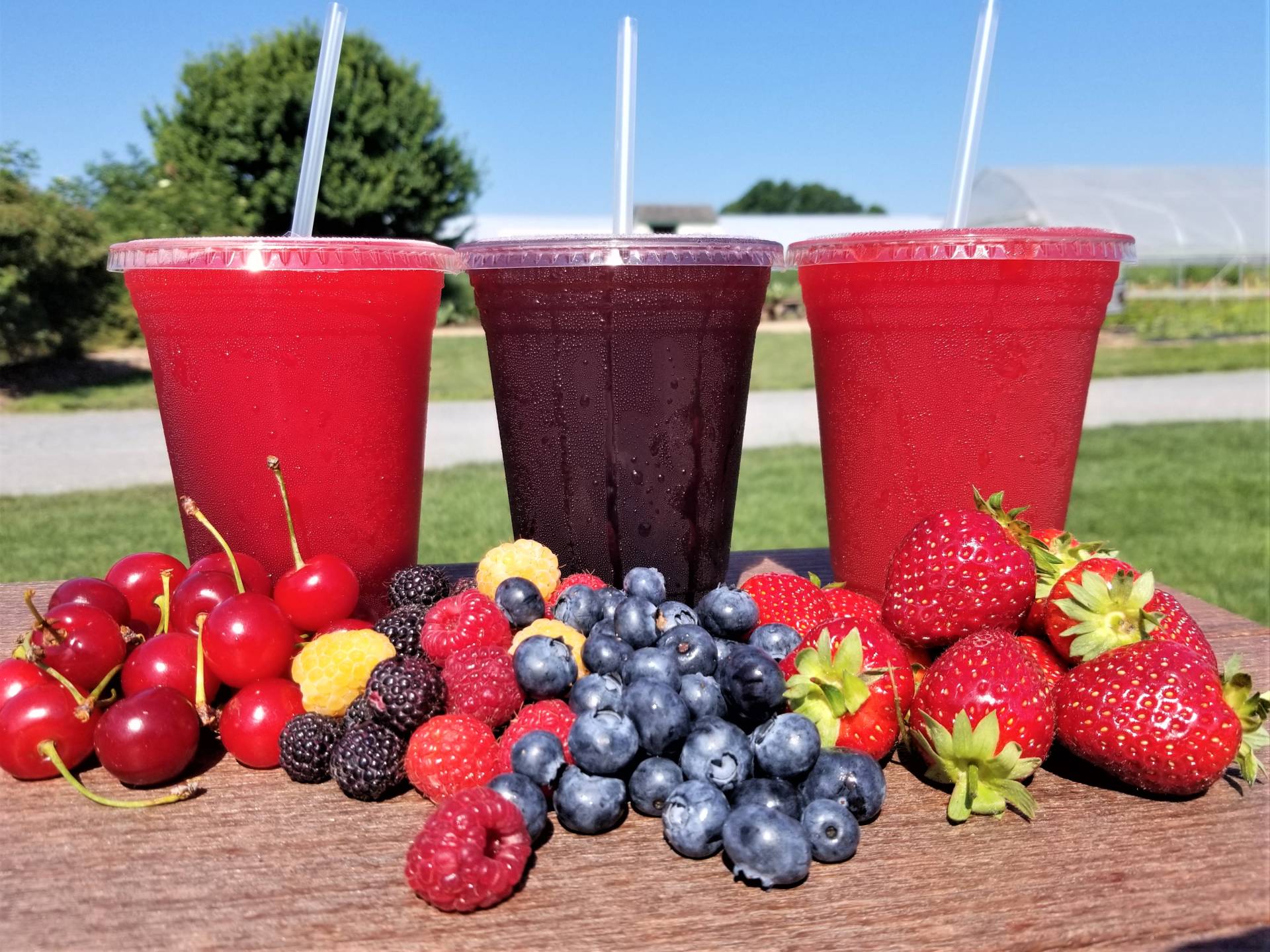 Fruit Slushies Brecknock Orchard LLC, Mohnton Lancaster County PA