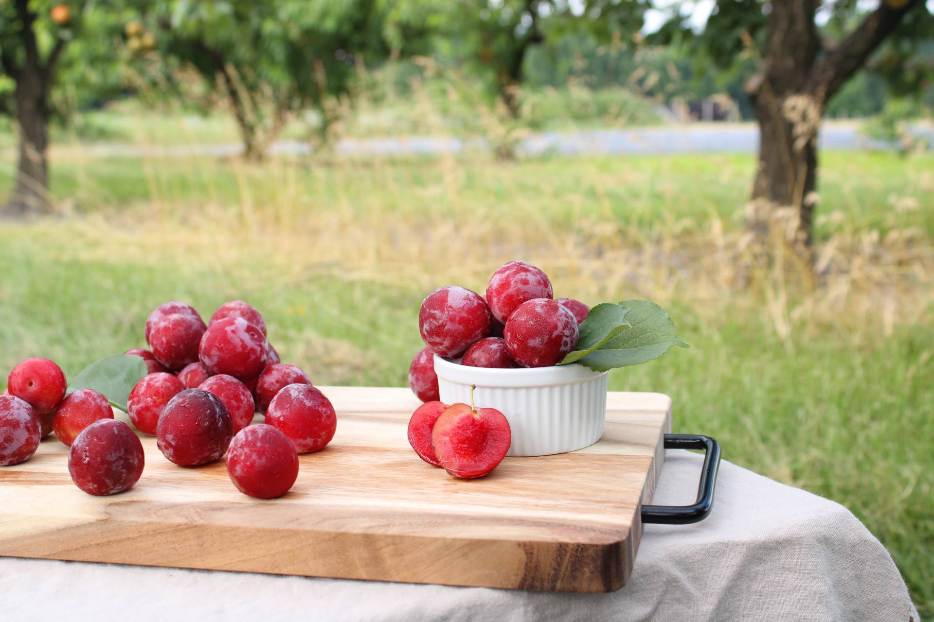 Plums Brecknock Orchard LLC, Mohnton Lancaster County PA