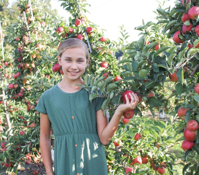 Pick Your Own
