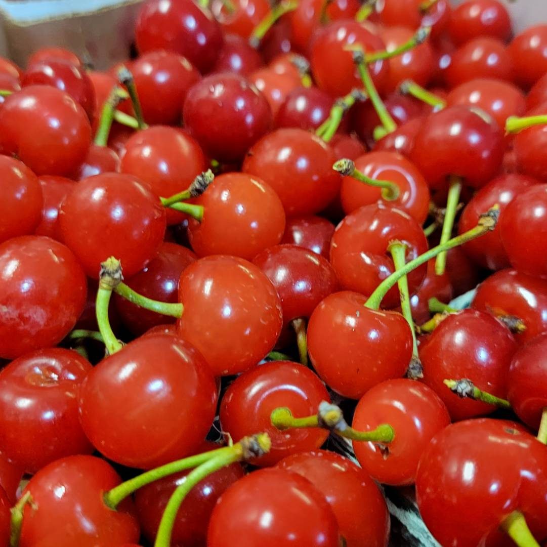 Tart Cherries