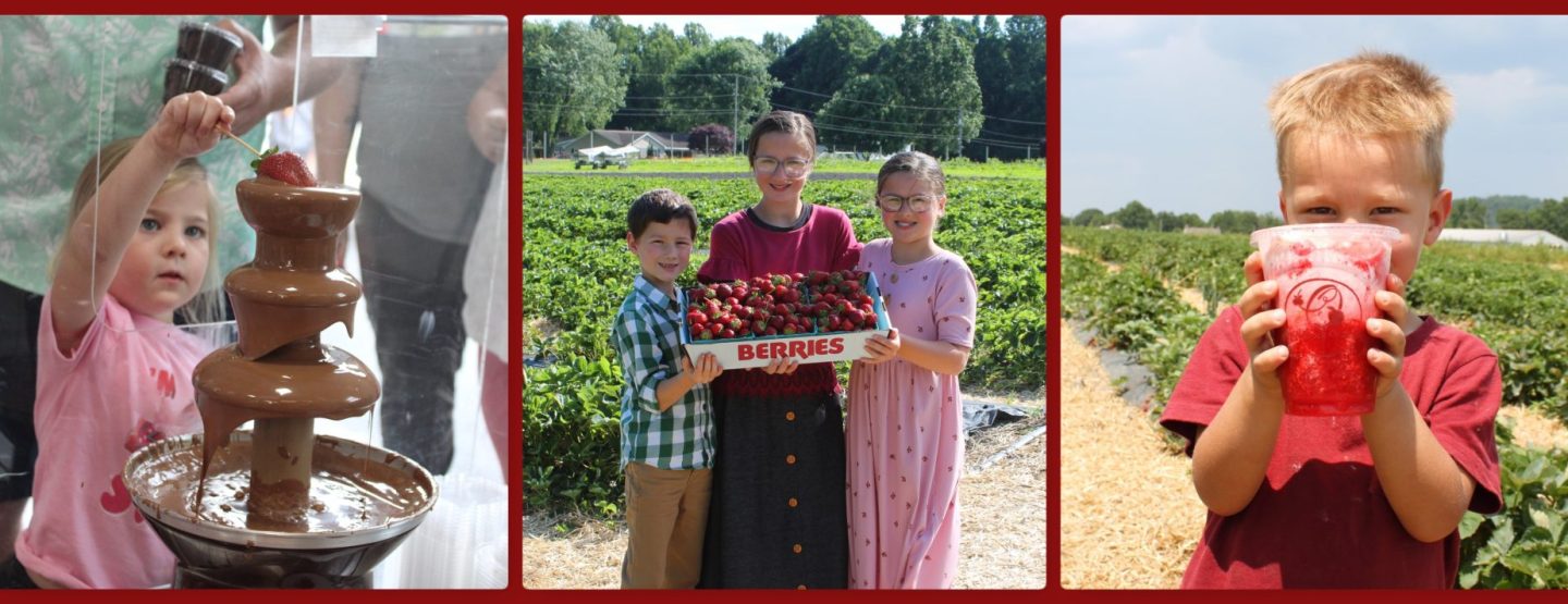Strawberry Festival 2