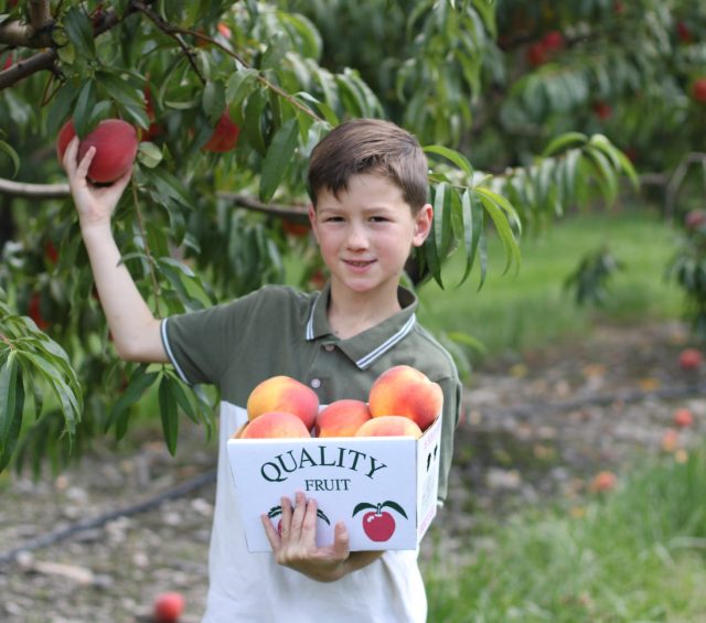 Pick Your Own